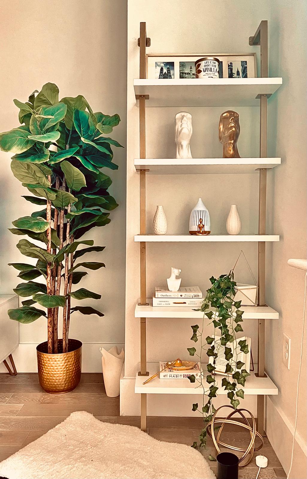 Styled ladder shelving unit beside a large fiddle-leaf fig plant